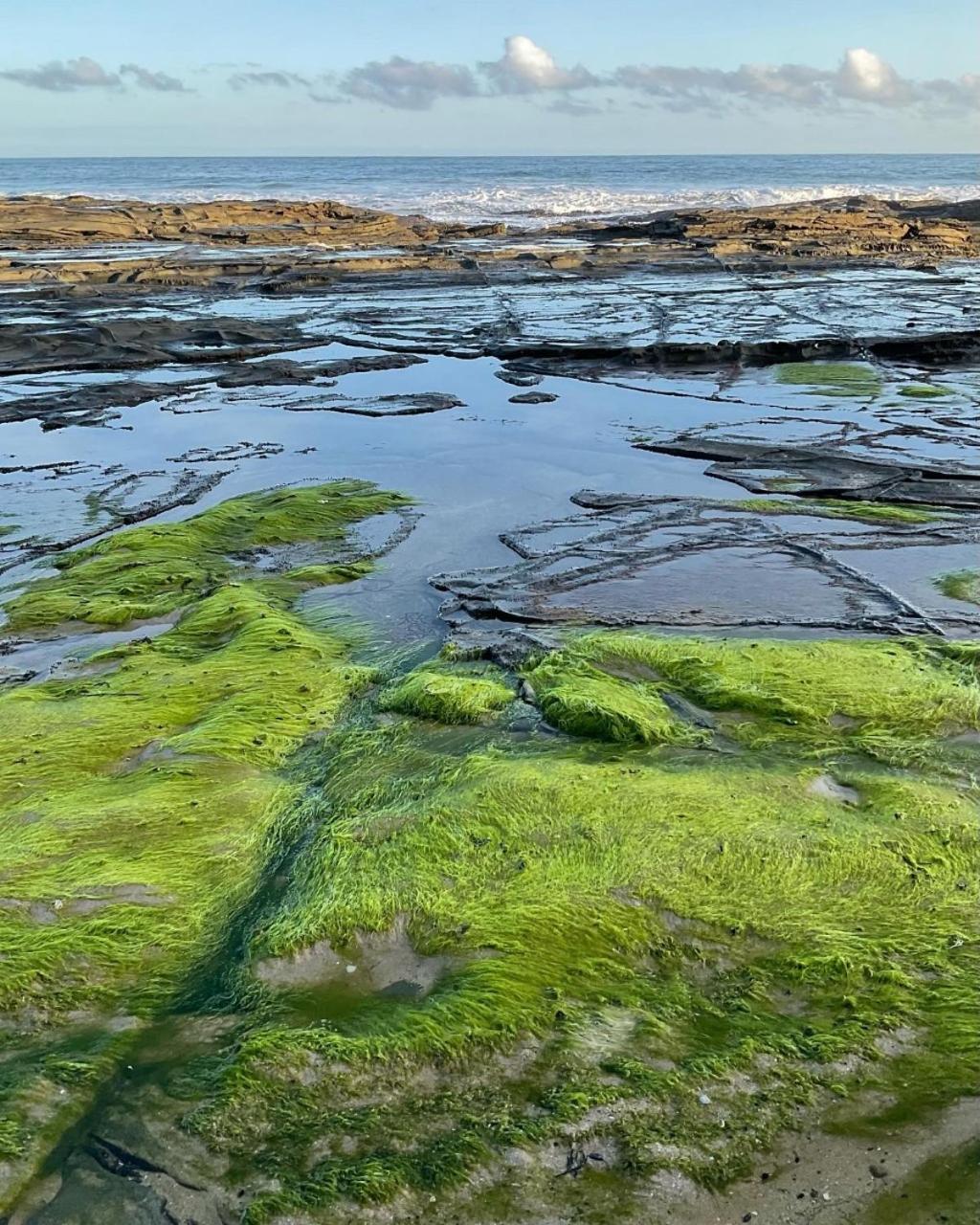 Points South By The Sea Βίλα Wongarra Εξωτερικό φωτογραφία